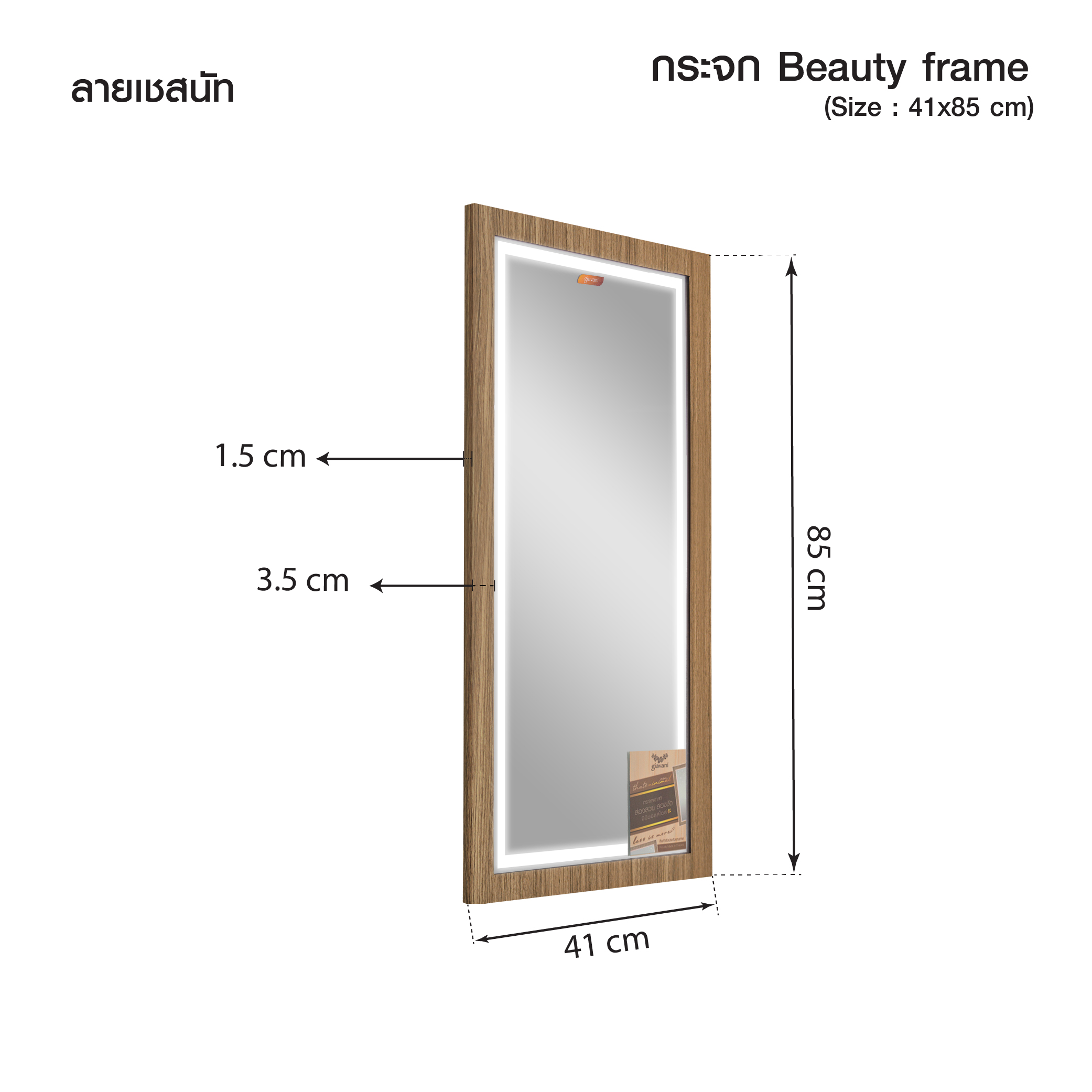 เชสนัท 41x85_Dimension